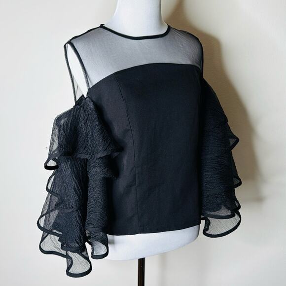 Pretty Little Thing Black Sheer Organza Ruffle Sleeve Top - Picture 3 of 8